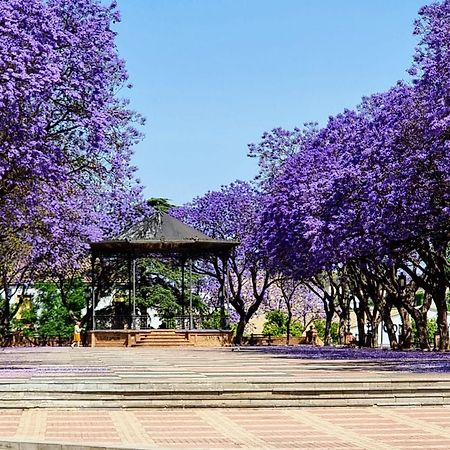 Alazan Jerez Iv-Parking Gratis-Wifi-Netflix Apartment Jerez de la Frontera Luaran gambar