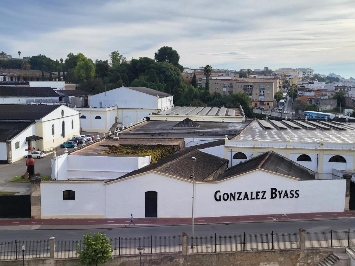 Alazan Jerez Iv-Parking Gratis-Wifi-Netflix Apartment Jerez de la Frontera Luaran gambar