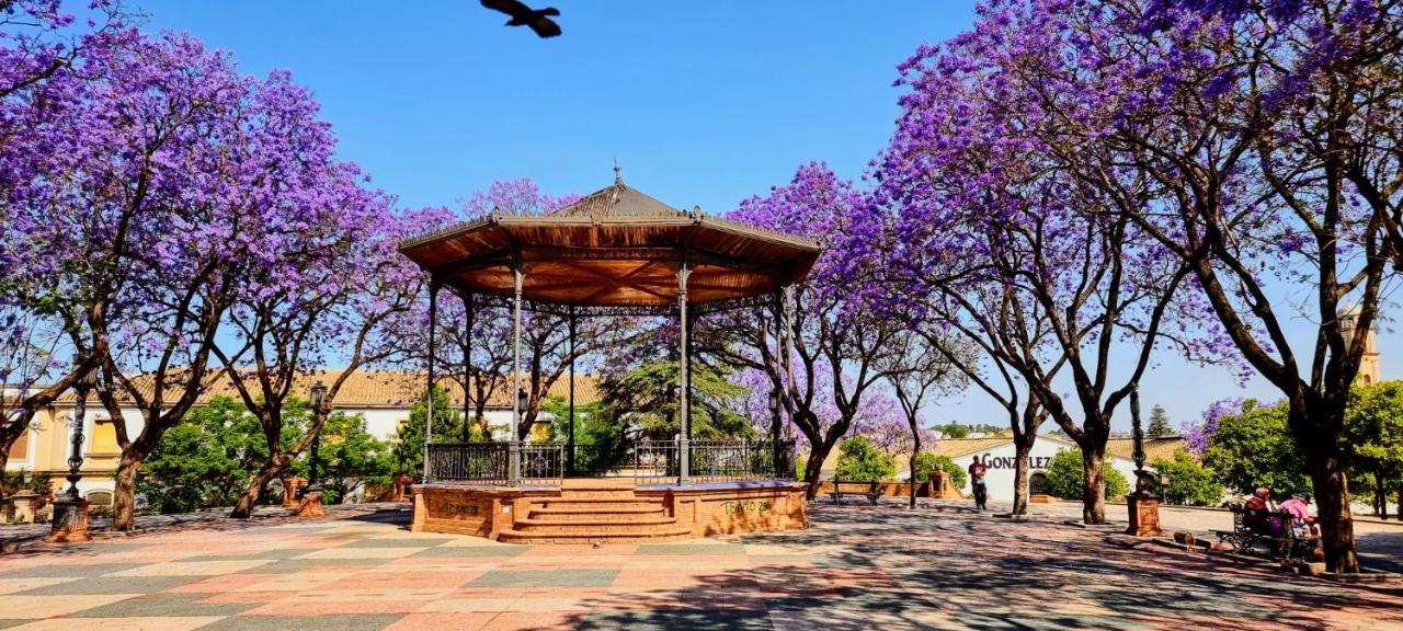 Alazan Jerez Iv-Parking Gratis-Wifi-Netflix Apartment Jerez de la Frontera Luaran gambar